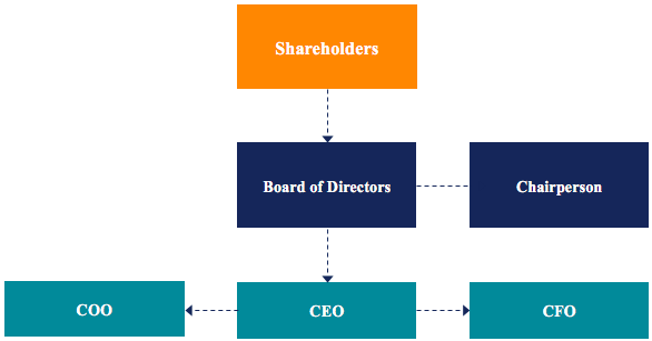 CEO (director general)