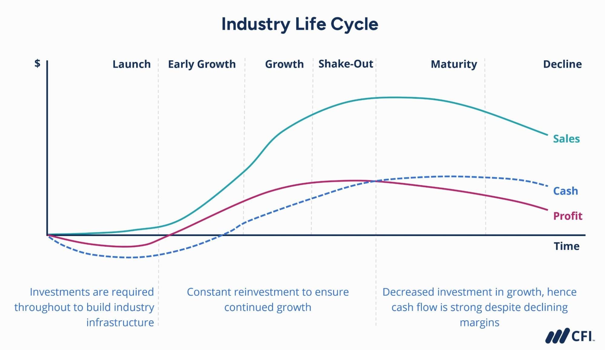 Ciclo de vida de la industria