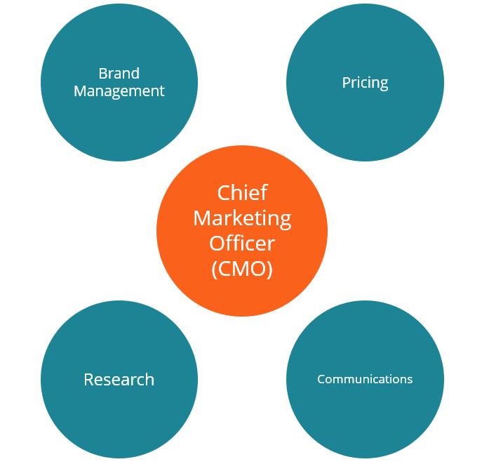 Director de marketing (CMO)