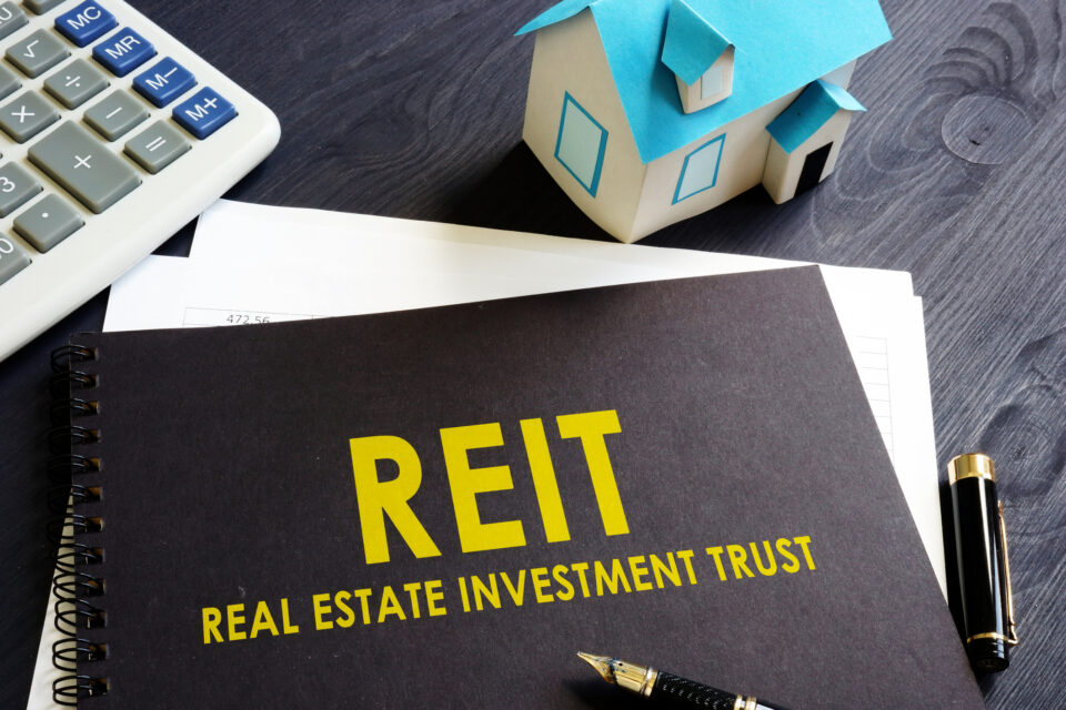 Fideicomiso de inversión inmobiliaria (REIT)