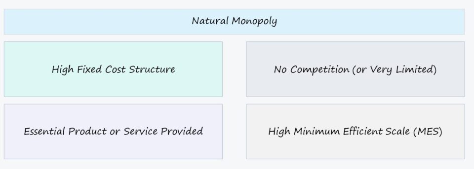 Monopolio Natural | Definición económica + ejemplos
