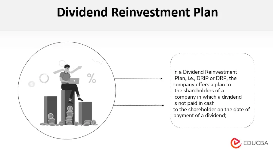 Plan de reinversión de dividendos